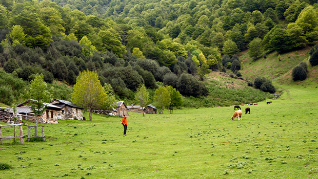 casa banagallones casa banagallones