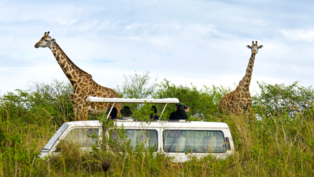 Safaris en Kenia
