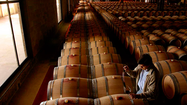bodegas al fin del mundo bodegas al fin del mundo