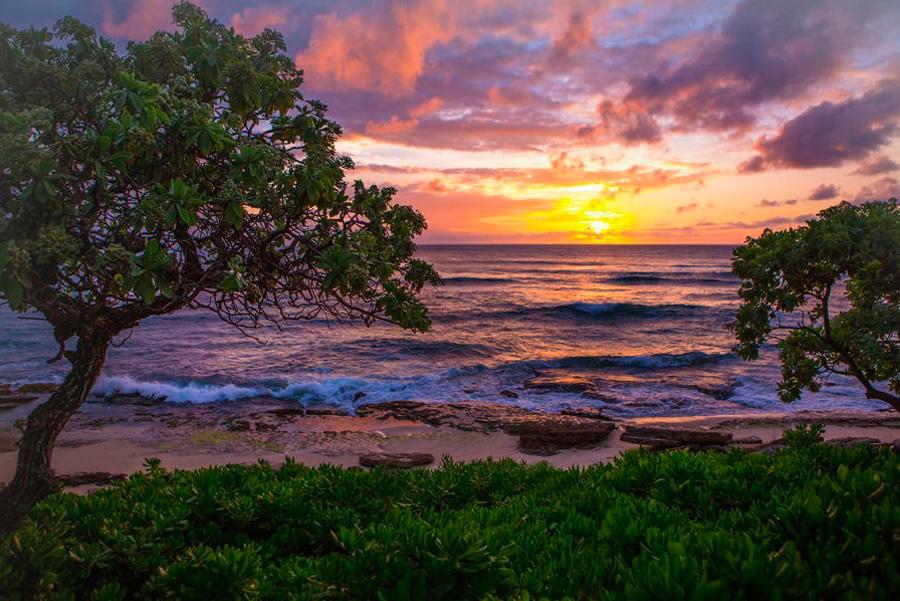 Costa de Oahu