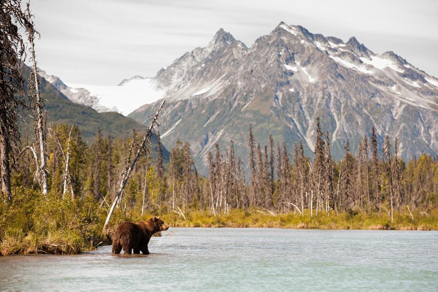 Monte Redoubt, Alaska