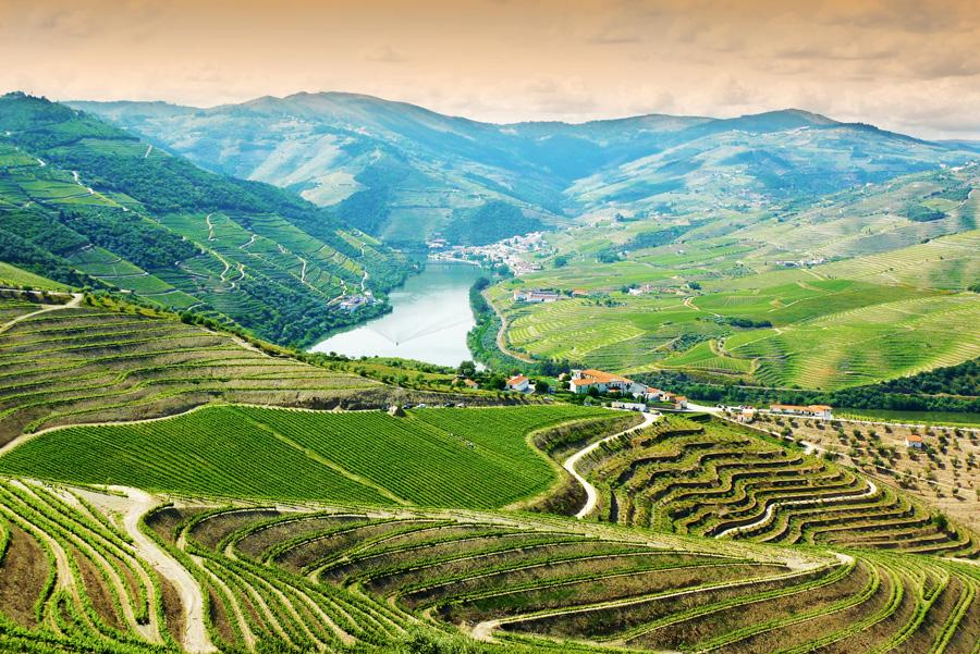 Panorámica de la región vinícola del Alto Douro. Foto: Marcin Krzyzak / Shutterstock.com