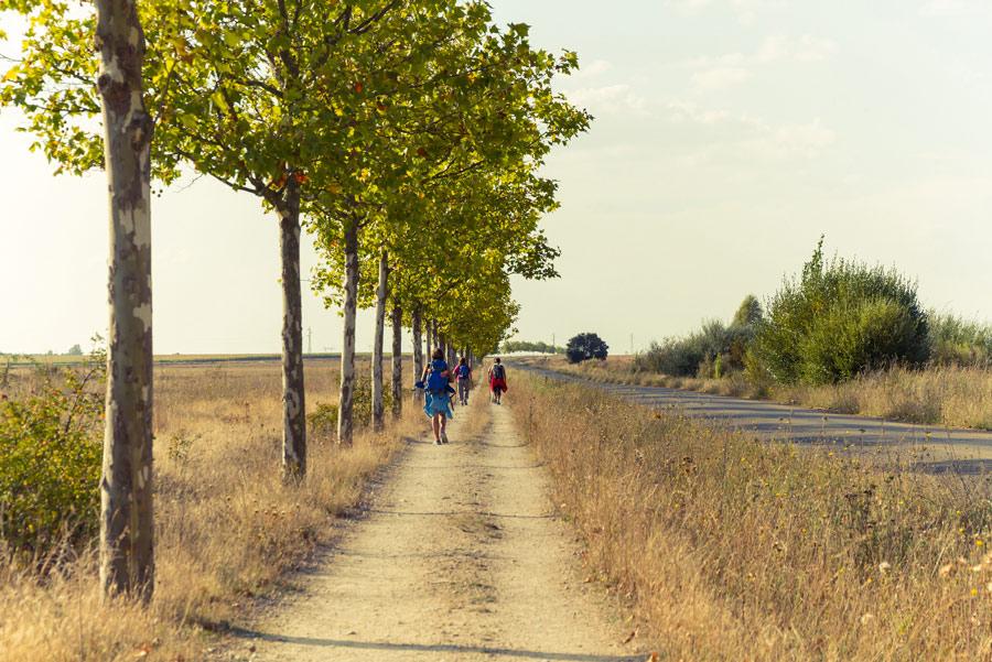 Camino de Santiago, España