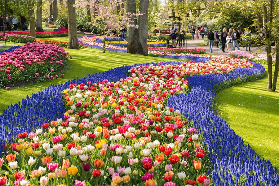 Parque Keukenhof, Holanda.