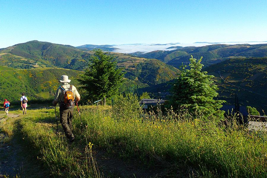 El Camino de Santiago 