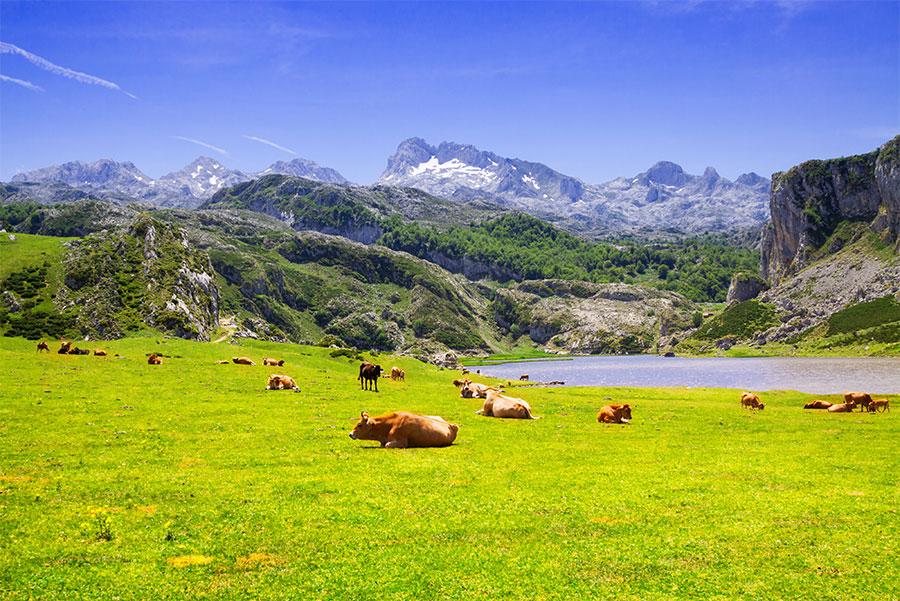 Lago Ercina, Asturias.