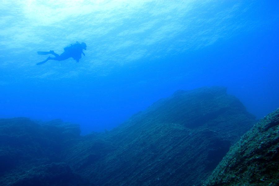 Buceo en El Hierro