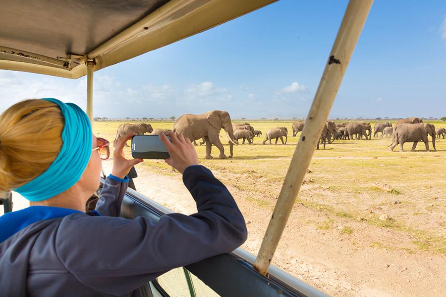 Safari en África.