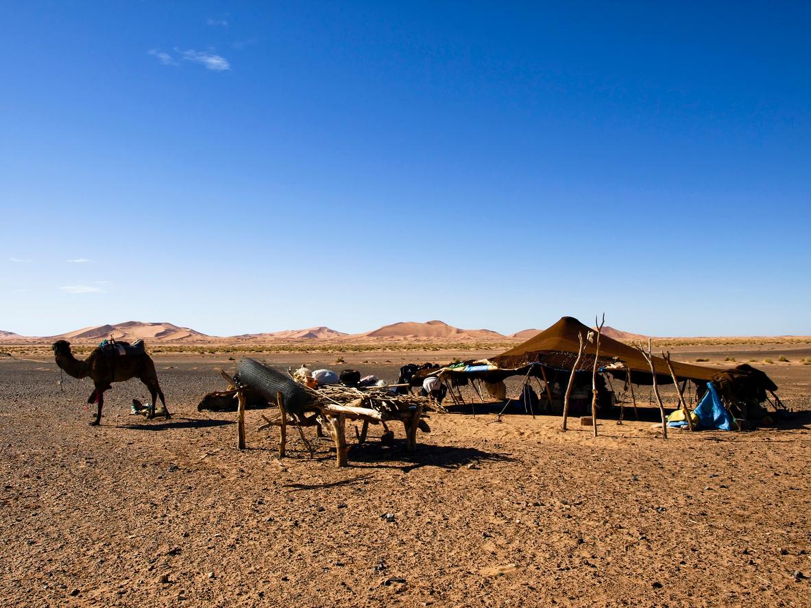 Desierto de Marruecos, Campamento