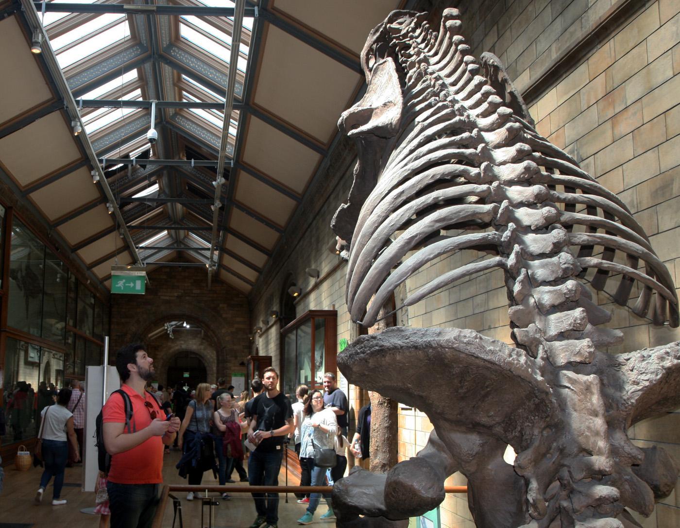 Londres, Museo Historia Natural