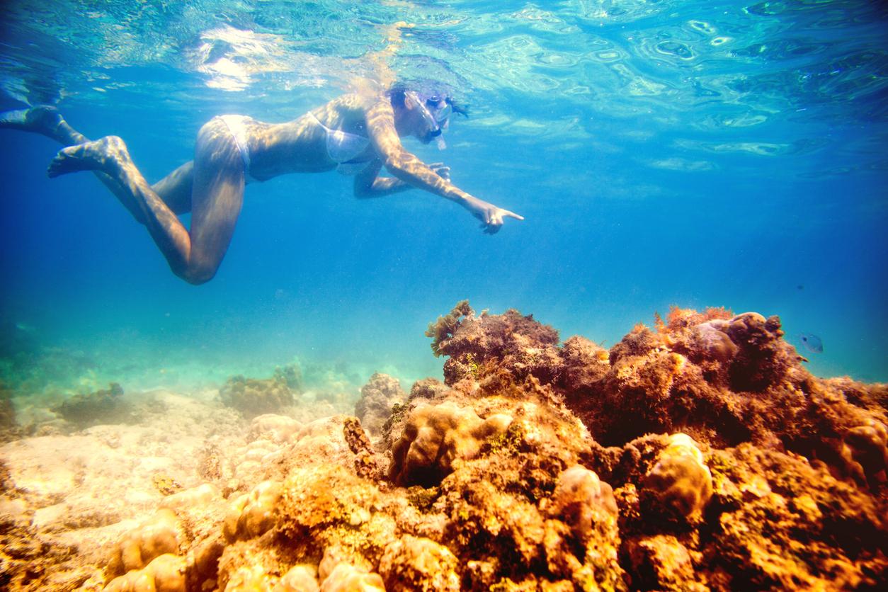 Snorkel en Islas Mauricio