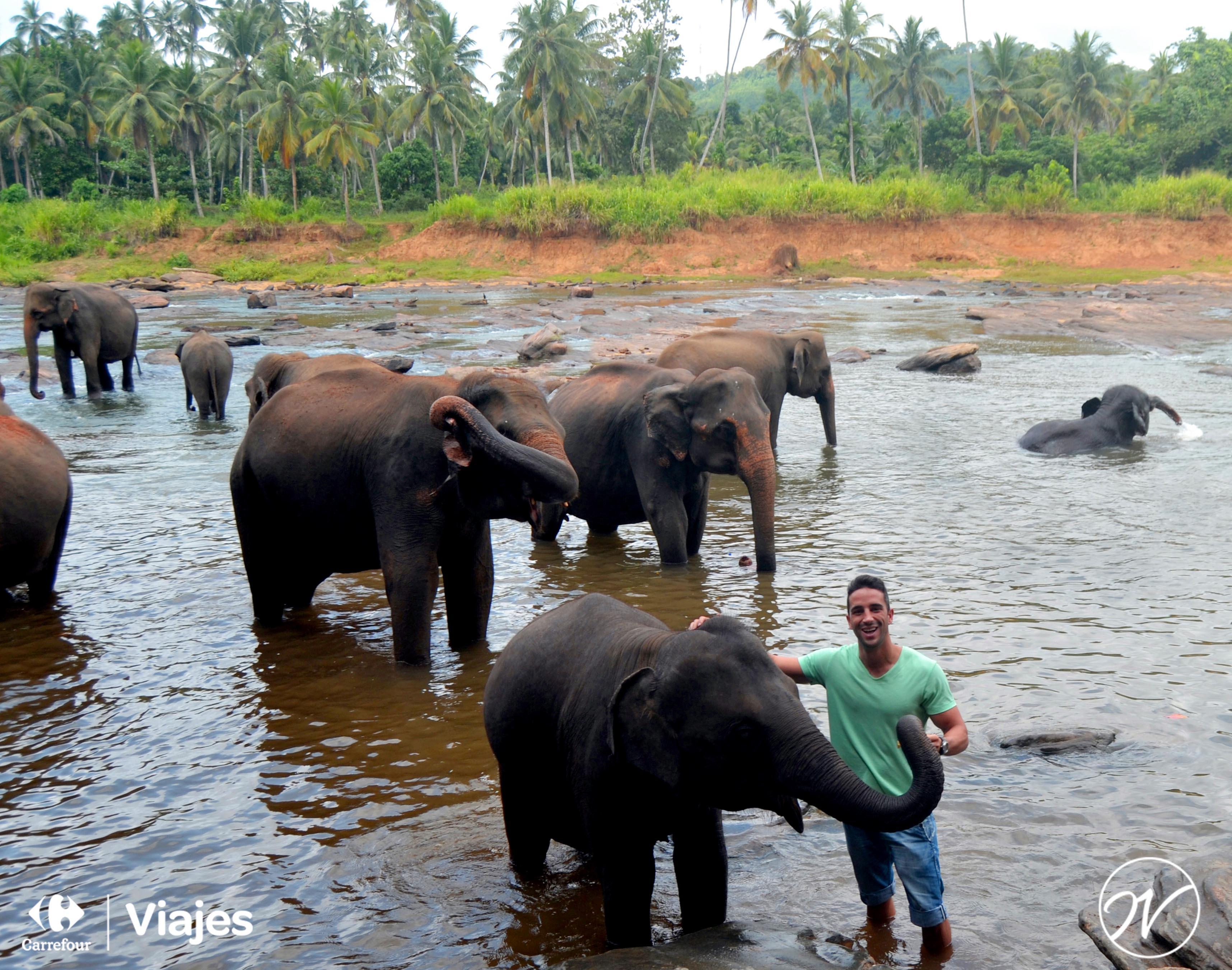Aventuhero, Sri Lanka - Bañando a los elefantes en el Orfanato de elefantes