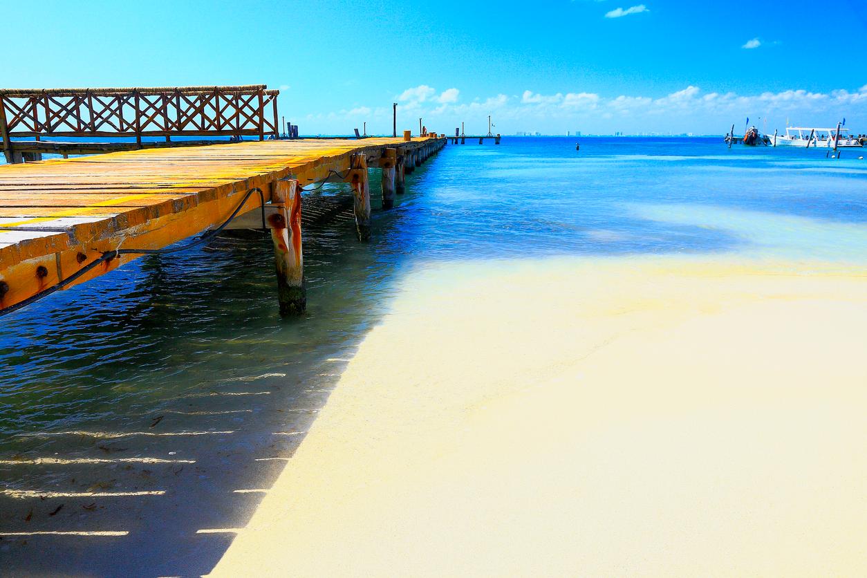 Averigua por qué hay un viaje al Caribe para cada uno