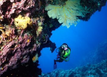 Viaje a Australia, Excursión con snorkel