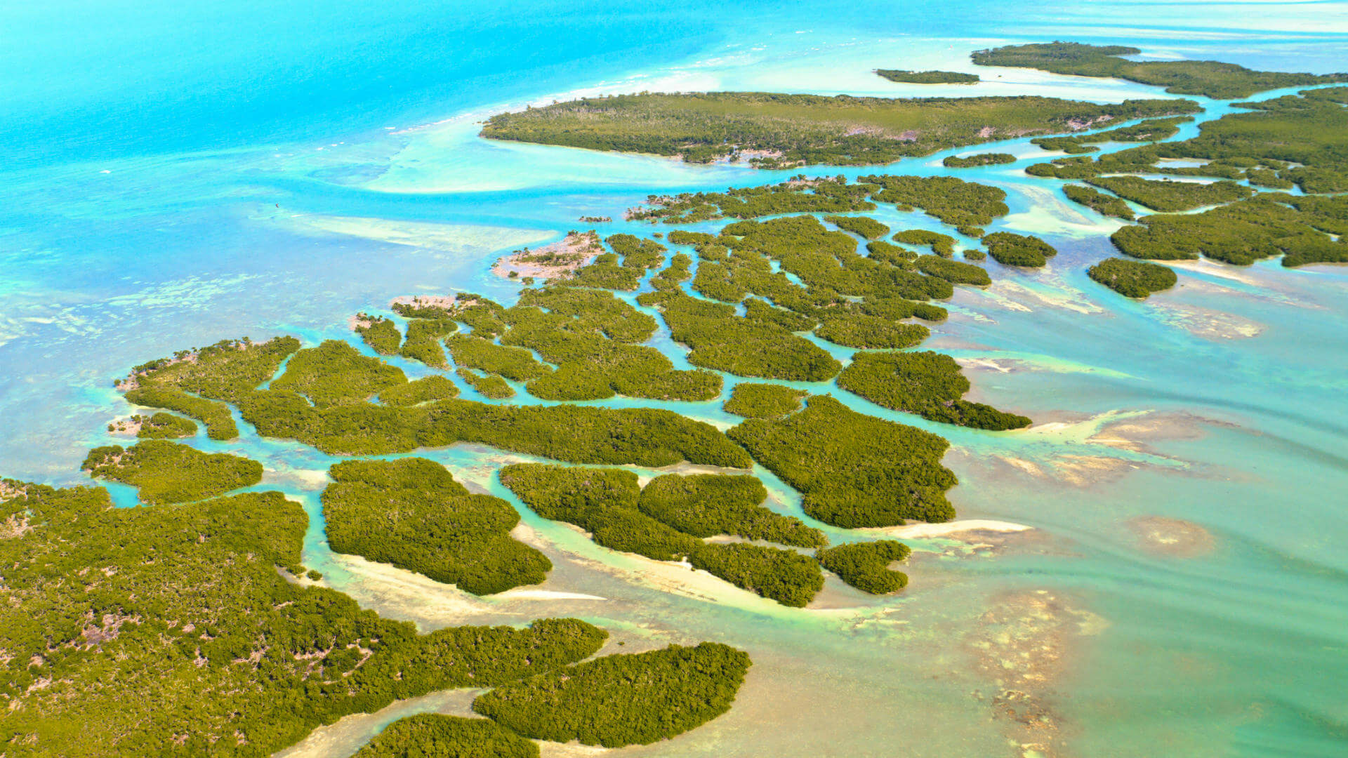 El mejor viaje a EEUU: los Cayos de Florida - Viajes Carrefour
