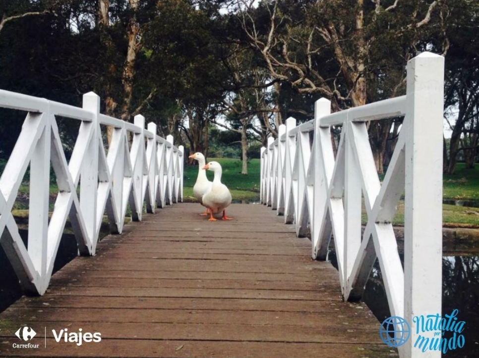 Viajar a Australia, Sidney