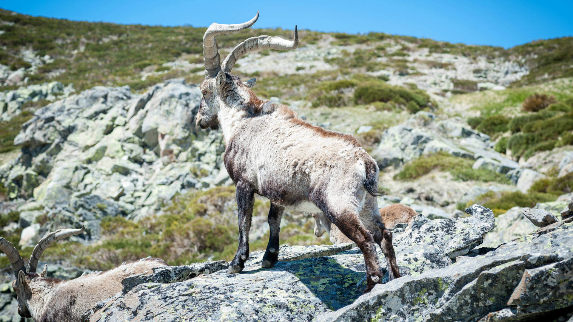 Rutas Por La Sierra De Gredos Los Mejores Planes Para El Invierno