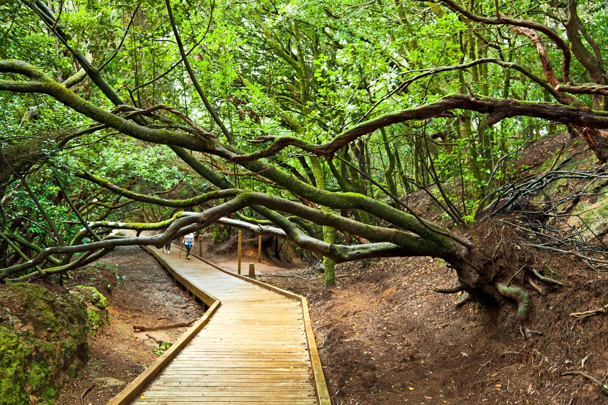 El Parque Rural de Anaga