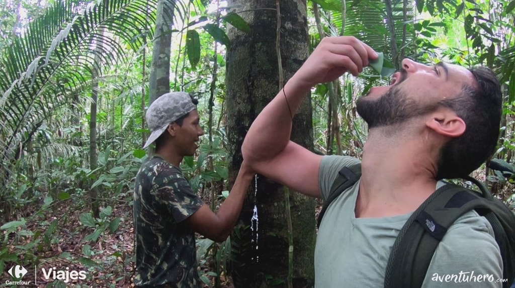 Leche de árbol