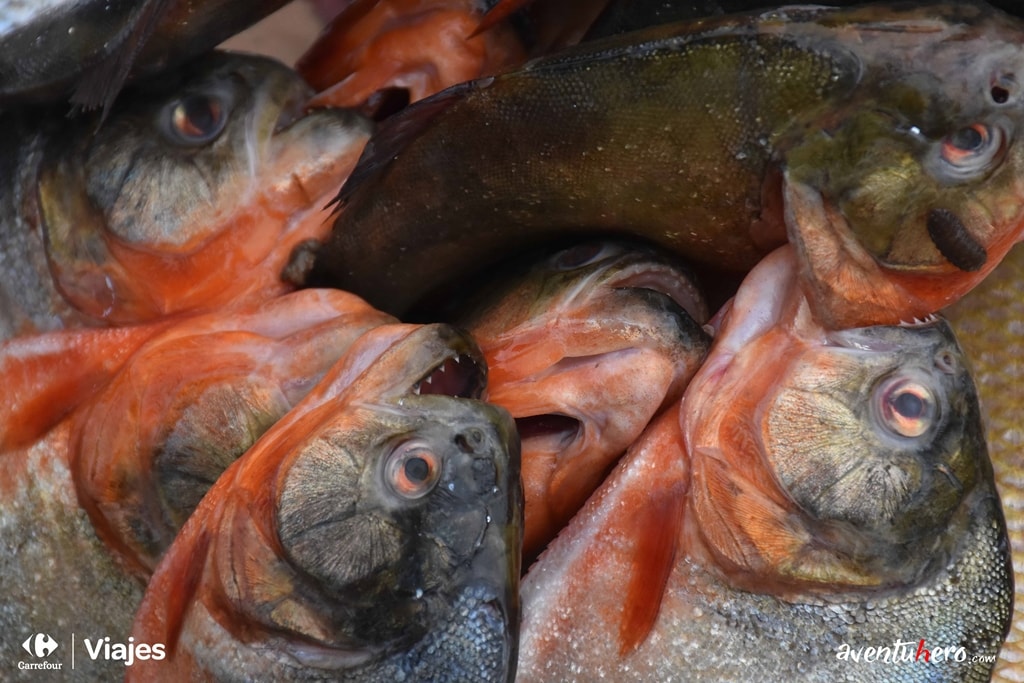 Pirañas