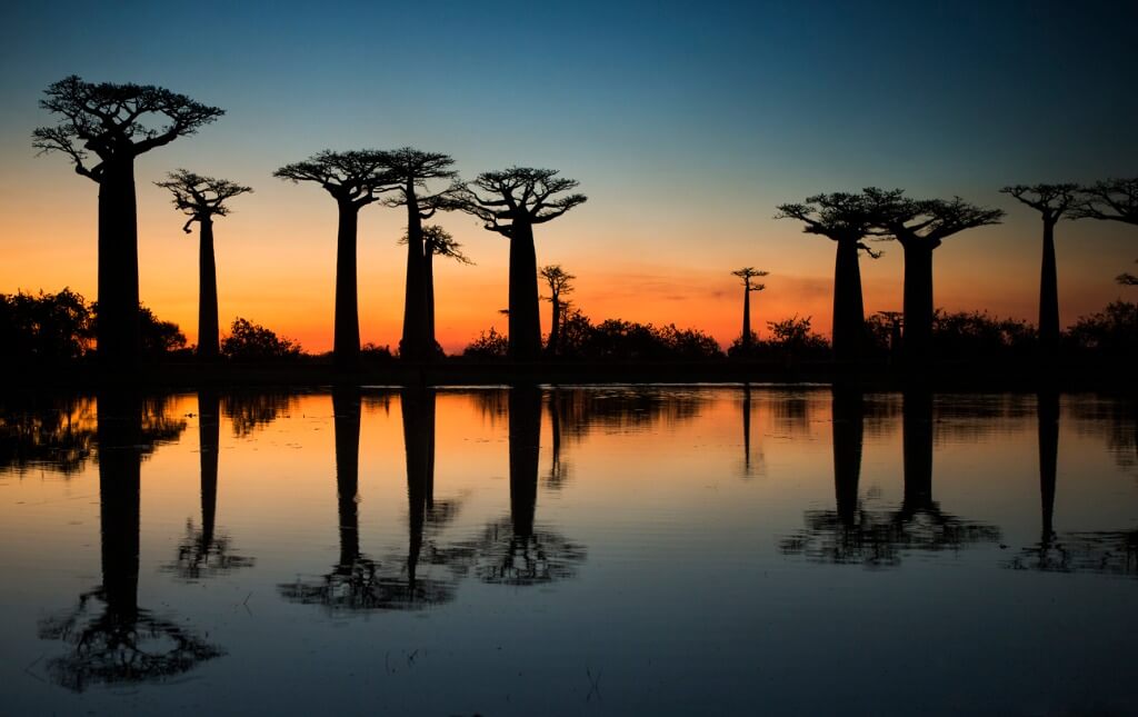 Madagascar