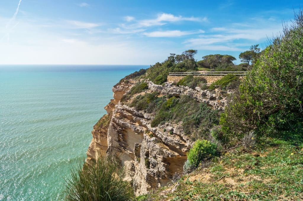 Barbate