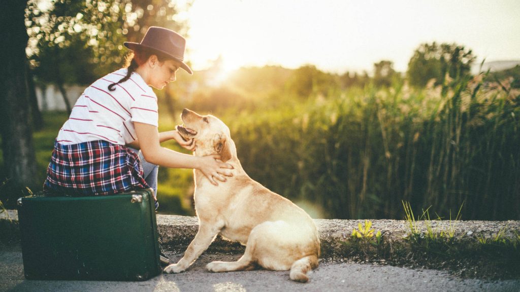 Joven viajando con su perro