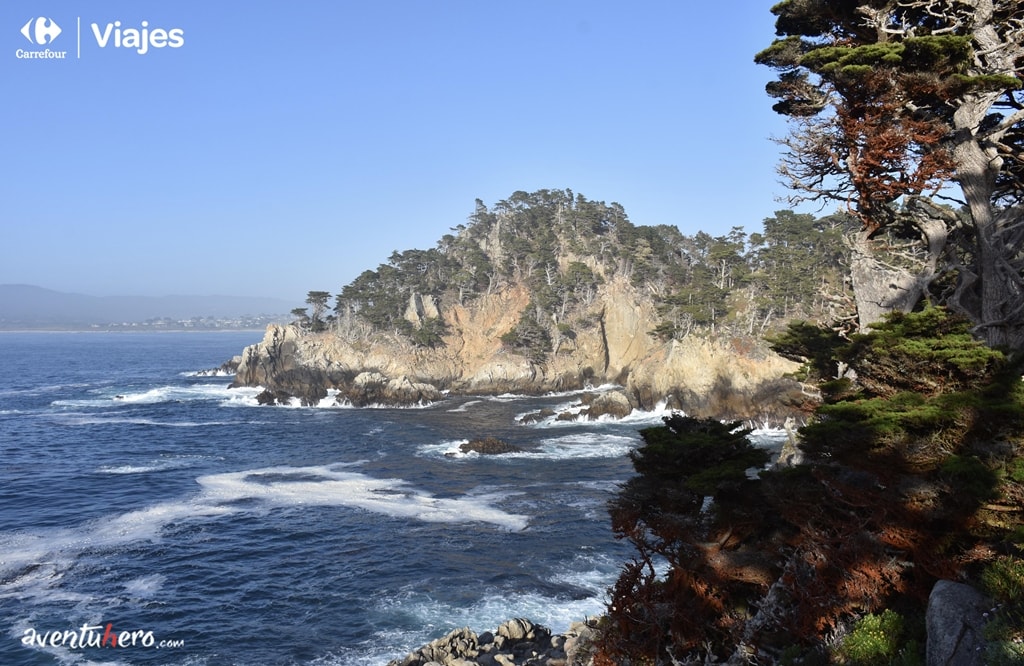 Point Lobos