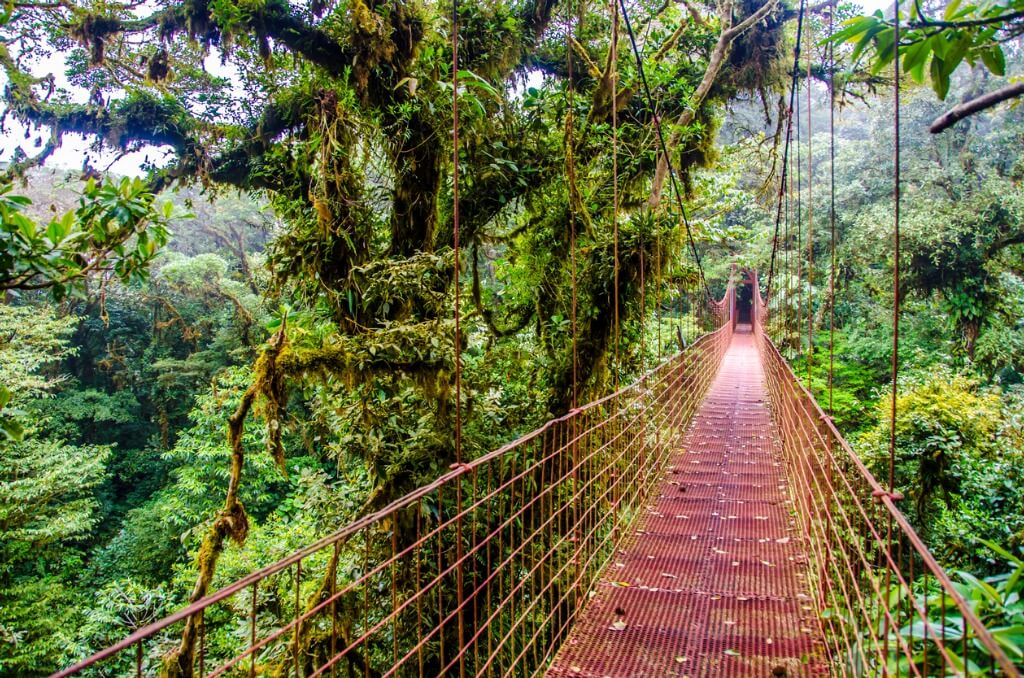 Puente Monteverde, Costa Rica