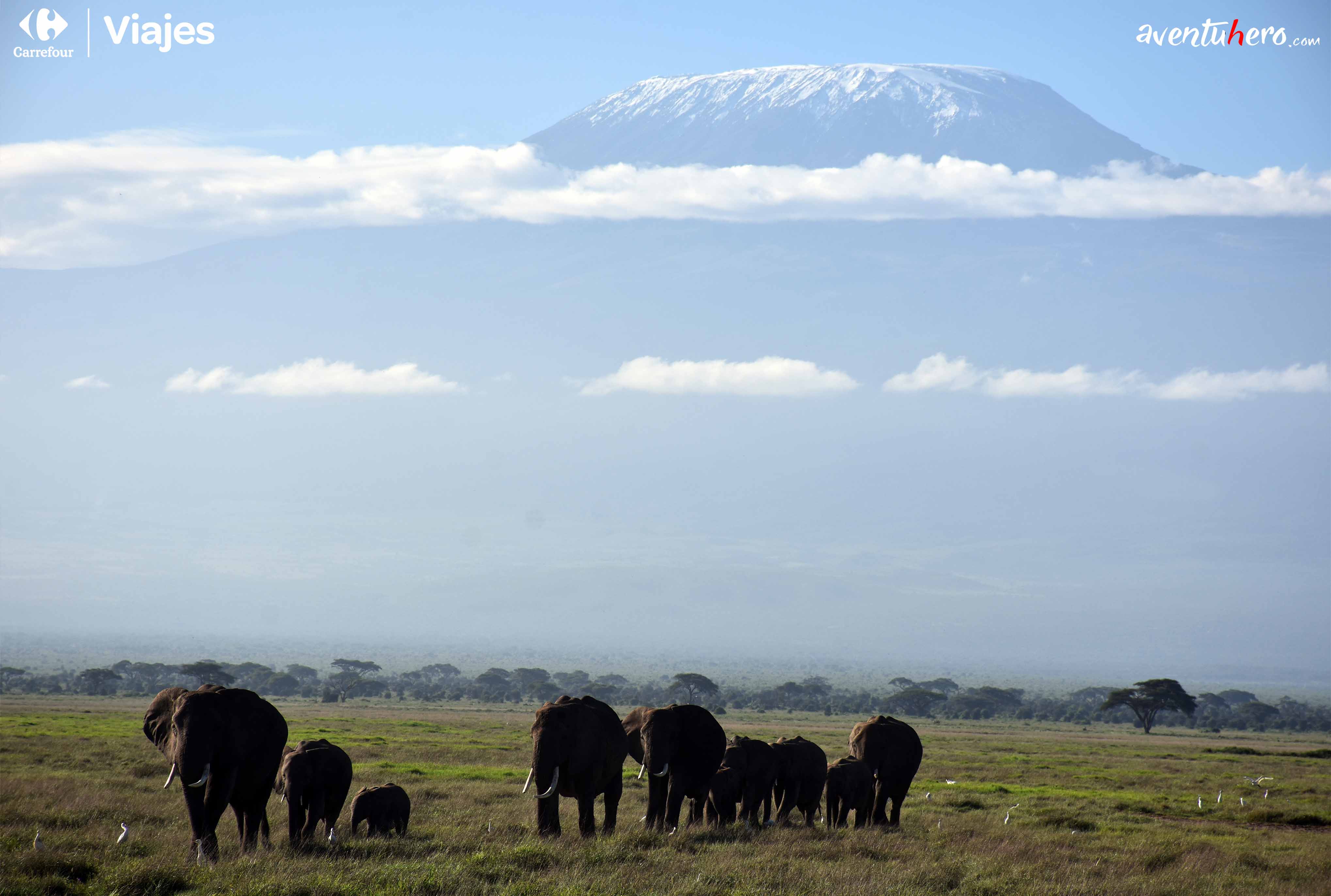 vista del kilimanjaro de fondo