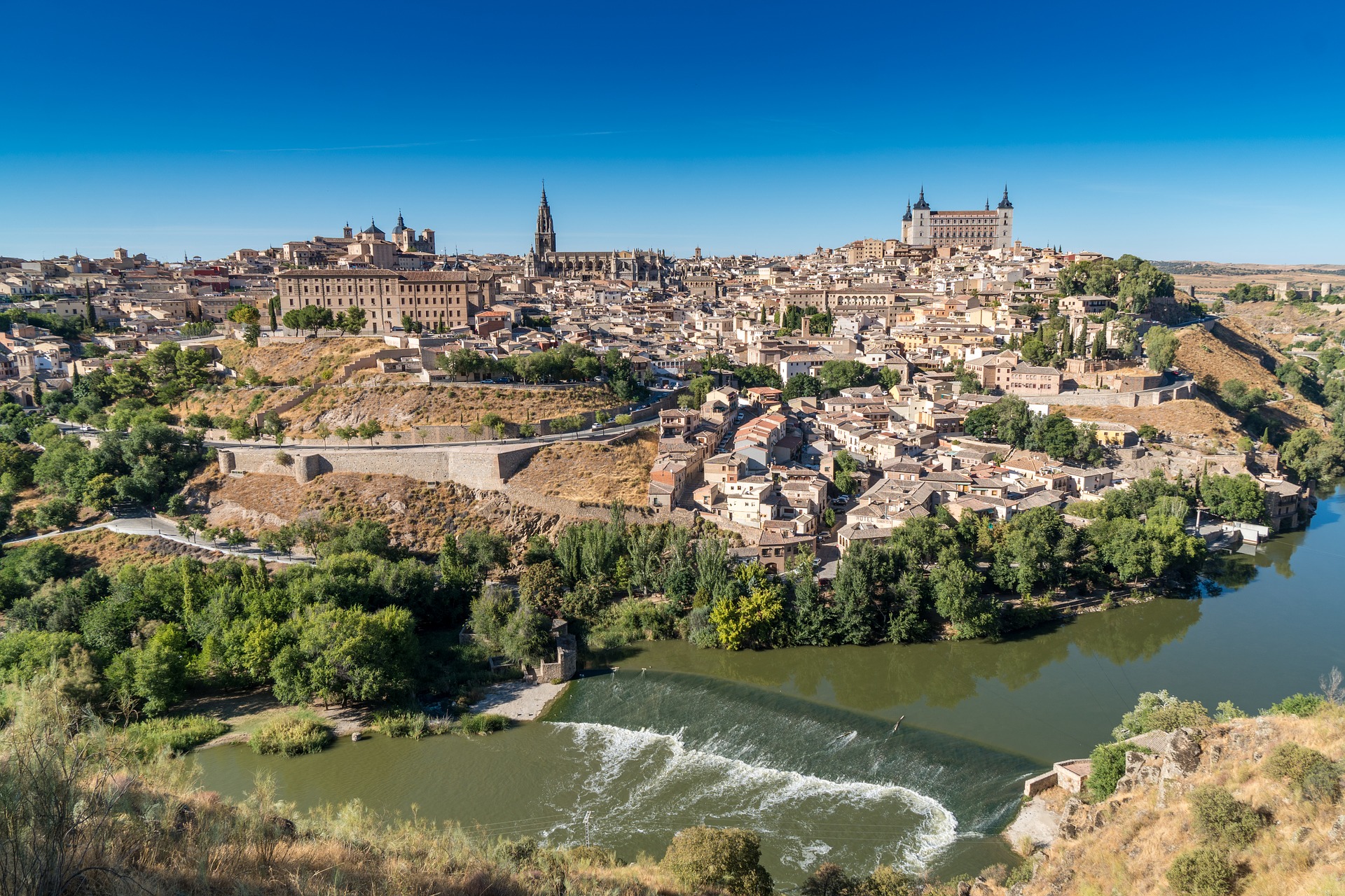 Toledo con perros