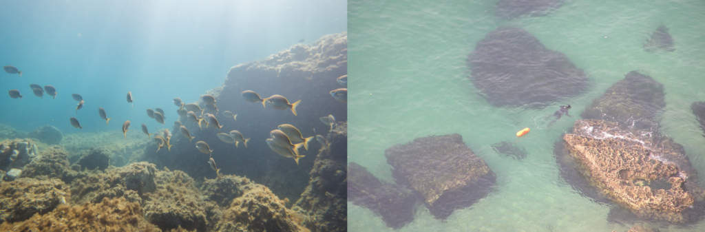 buceo en el algarve de portugal