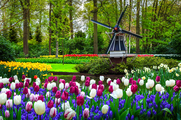 Jardines de Keukenhof