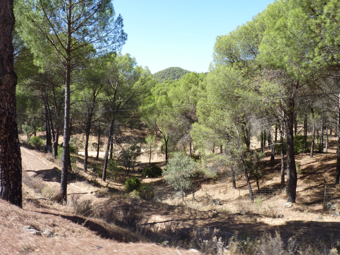 Sierra de Andújar, Jaén