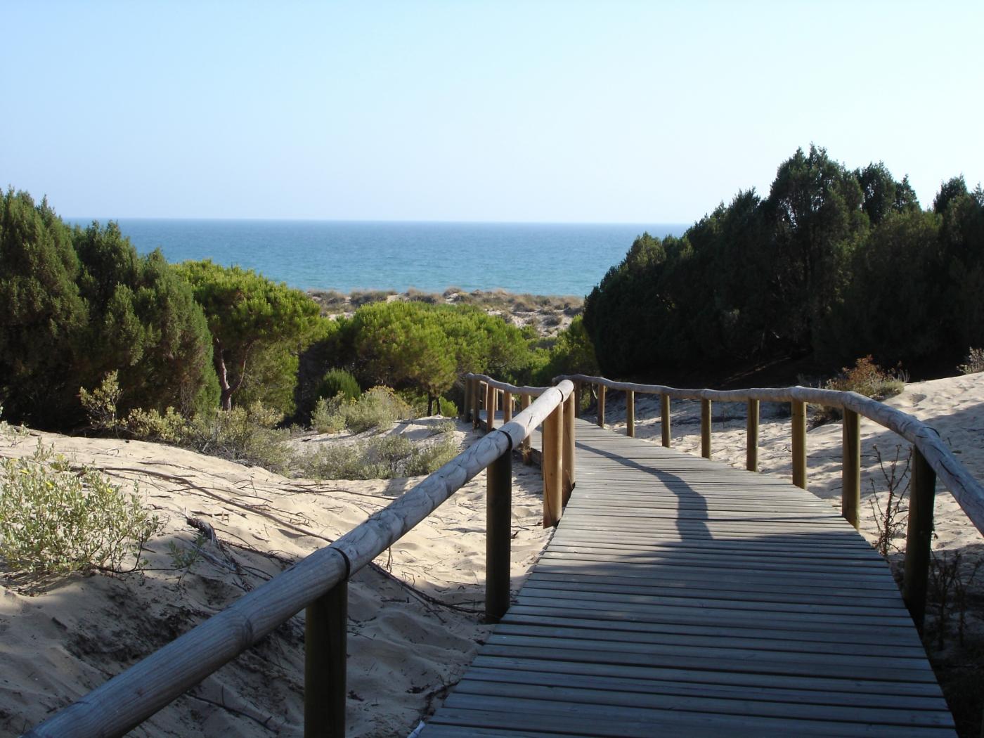 Playa de Los Enebrales