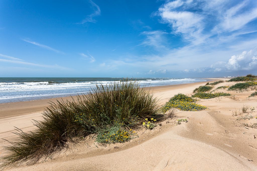 Playa de la Mata Negra