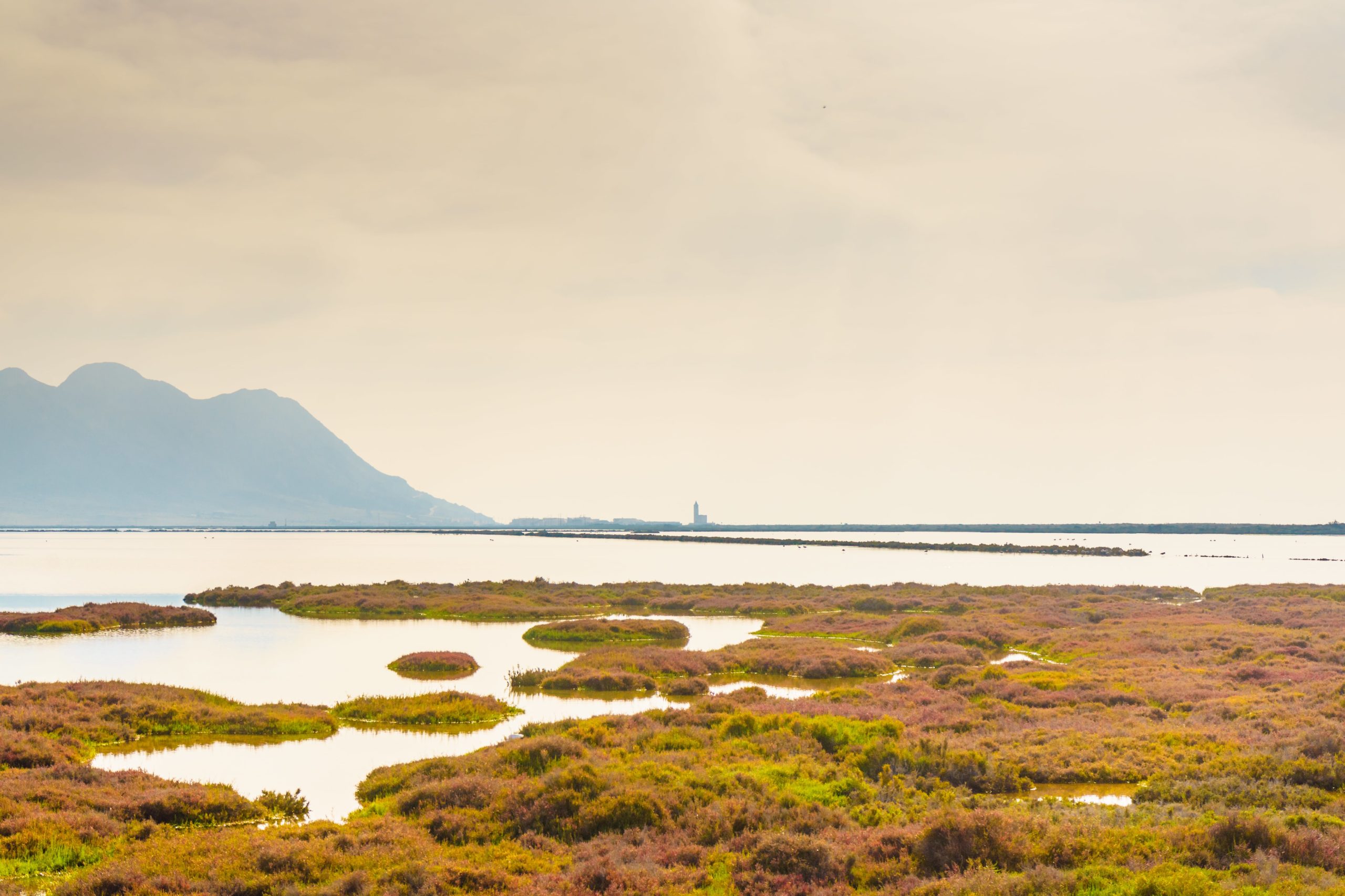 Las Salinas, Cabo de Gata