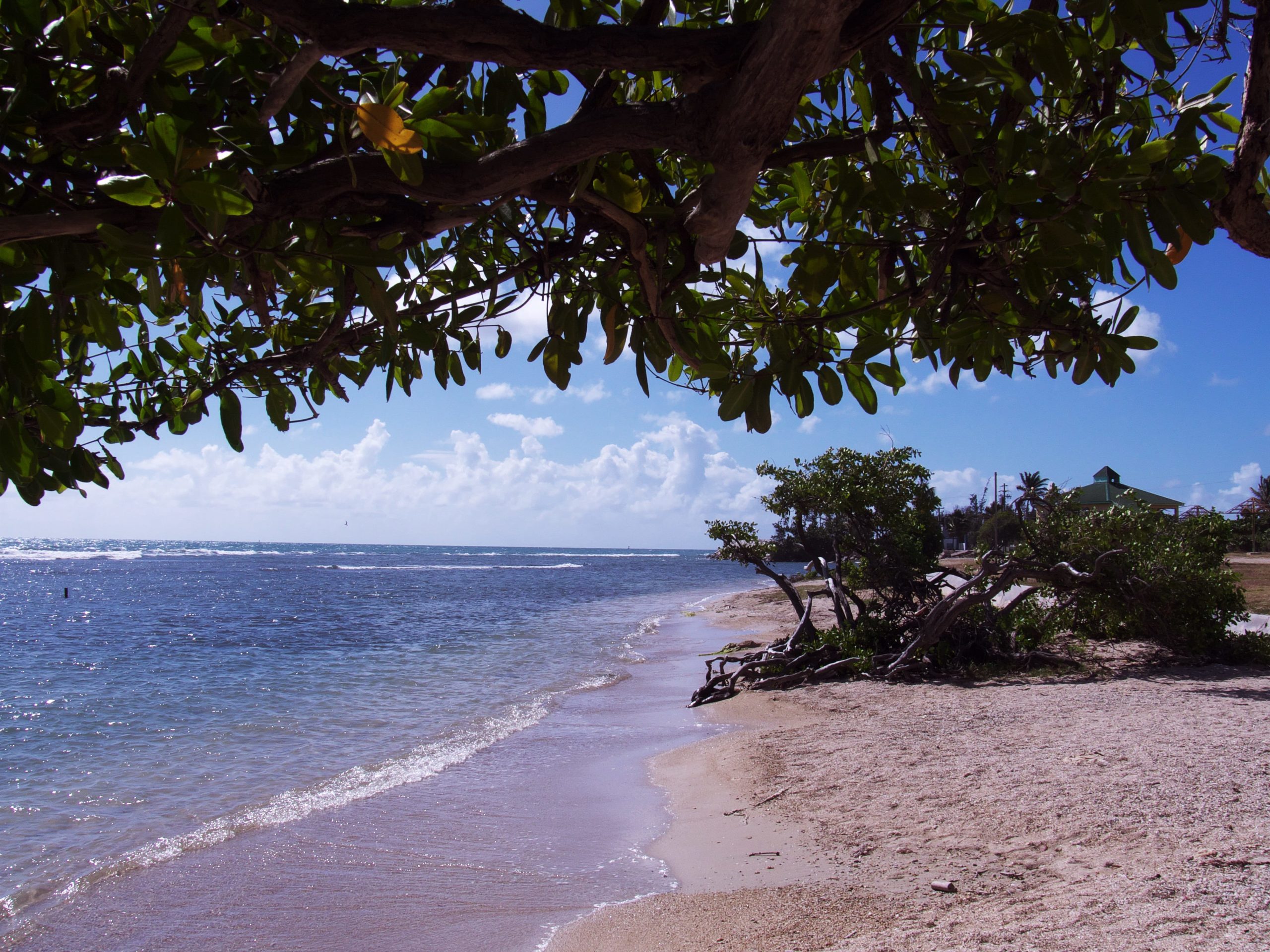 Playa La Guancha