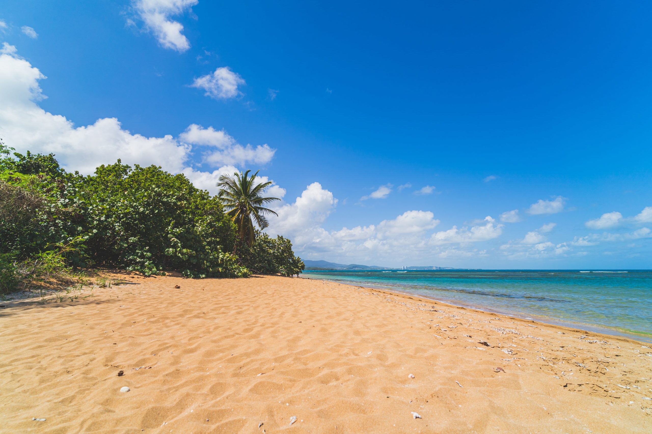 Playa de Ocean Park