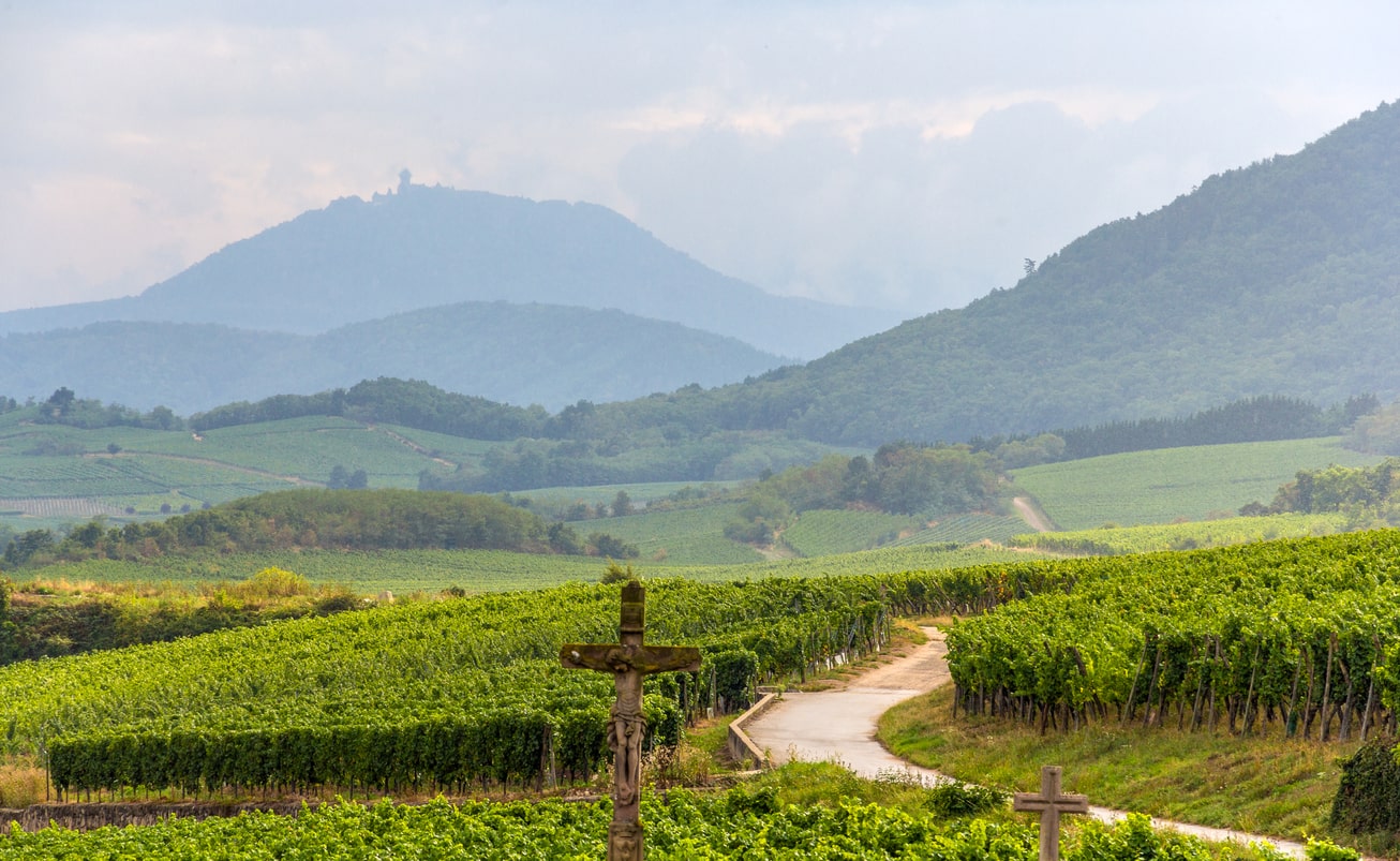 Ruta del Vino de Alsacia