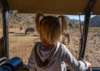 Safari