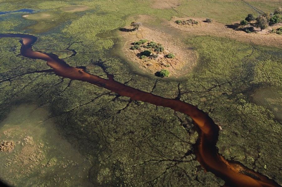 Vagamundos Viajeros, Botswana, Delta del Okavango