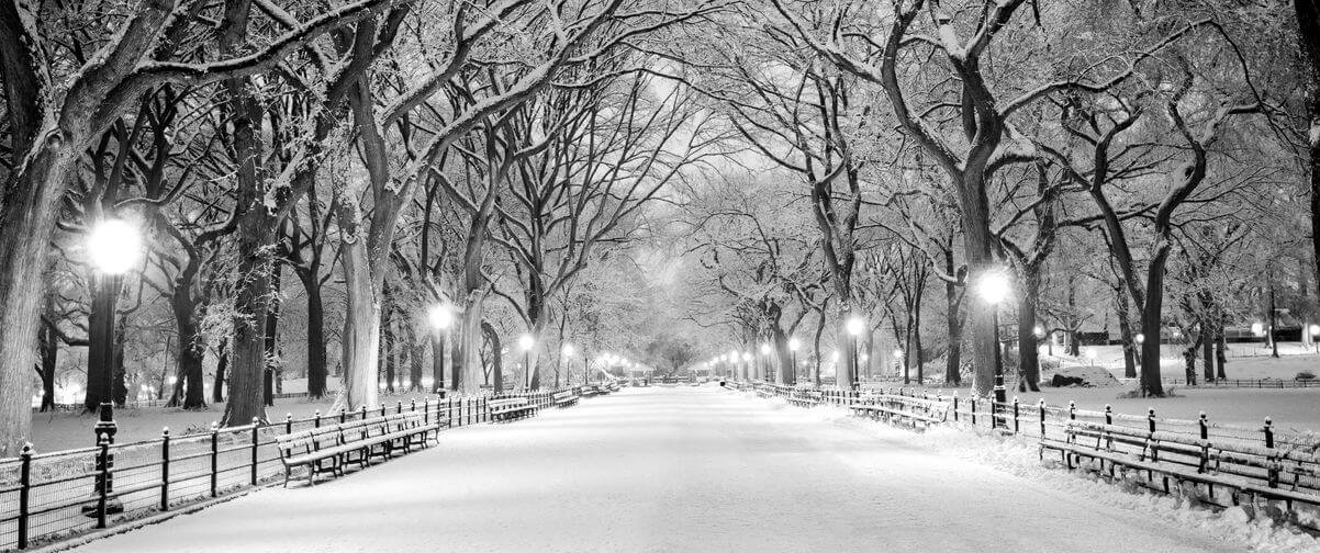 Guía Nueva York, Invierno Nueva York