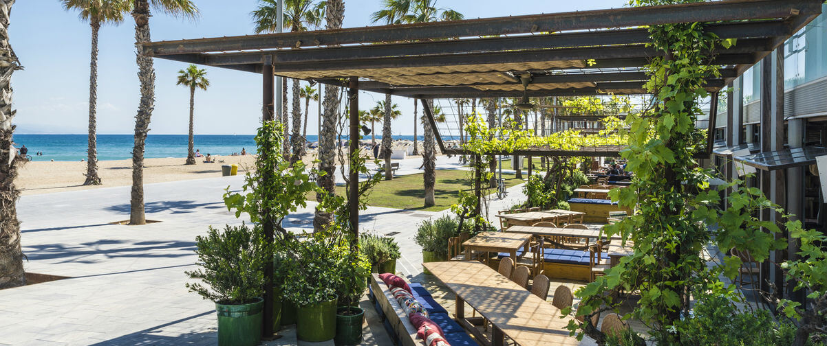 Guía Barcelona, Terraza Barceloneta