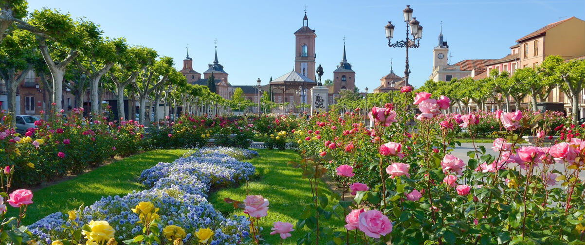 Plaza Cervantes