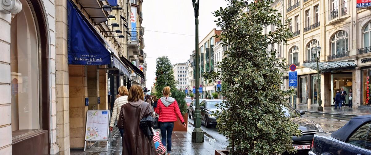 Guía Bruselas, Avenida Luisa