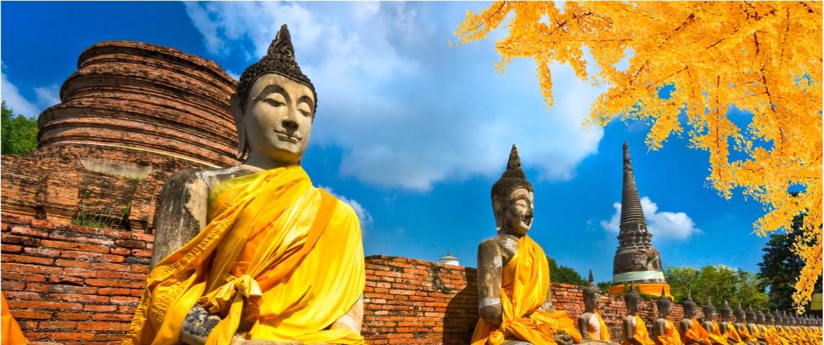 Guía Bangkok, Buddha Statue Ayutthaya, Bangkok