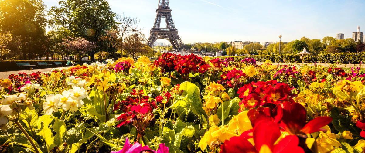 Guía París, Flores Paris