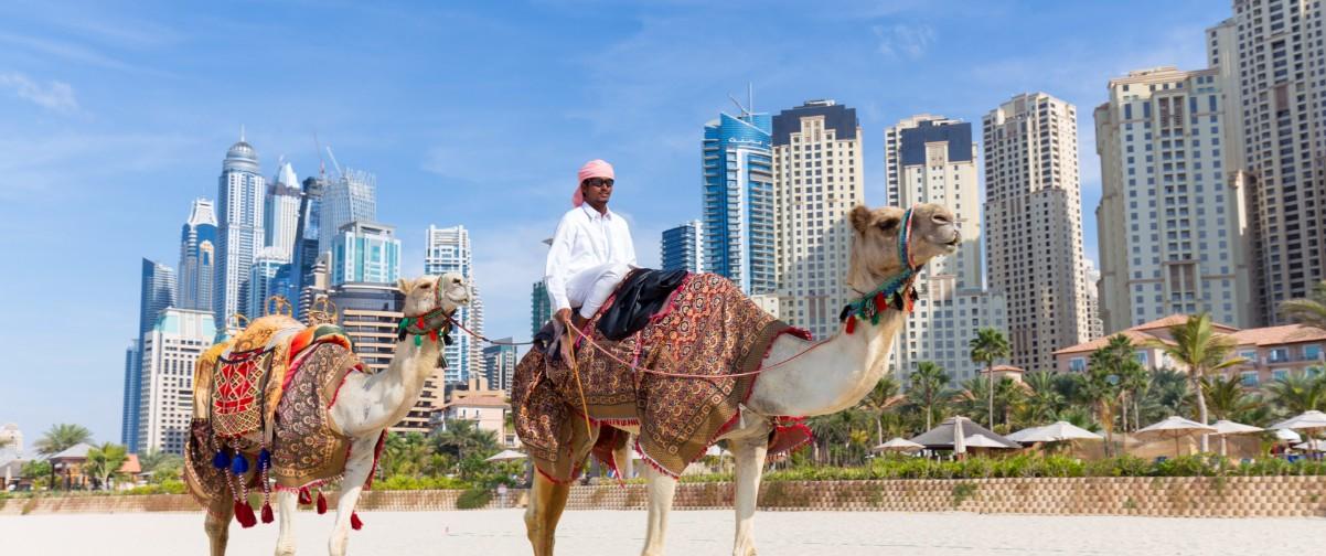 Guía Dubai, Paseo en camello, Dubai