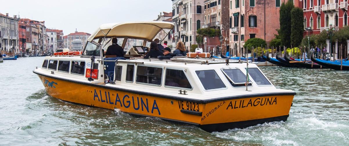 Guía Venecia, Embarcación Alilaguna